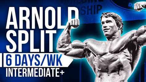 ppl/arnold split|Arnold Split vs PPL : r/Fitness